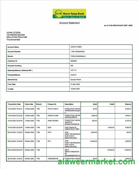 India Karur Vysya Bank account statement Word and PDF template